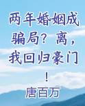 结婚两年后离婚的小说
