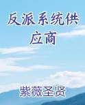反派系统供应商小说下载