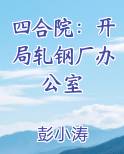 四合院开局轧钢厂办公室 小说 笔趣阁