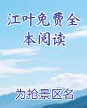 江叶小说简介