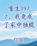 重生1977，我竟成了家中独棍小说全文免费阅读
