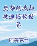 废柴的我却被迫拯救世界小说