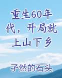 重生60年代,开局就上山下乡作者:孑然的石头