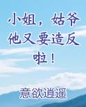 小姐，姑爷他又要造反啦！