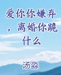 爱你你嫌弃，离婚你跪什么完结小说