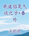 我道侣是气运之子+番外排行榜