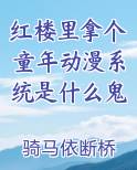 红楼里拿个童年动漫系统是什么鬼