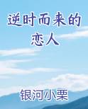 逆时而来的恋人小说