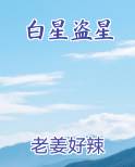 白星盗星在线阅读
